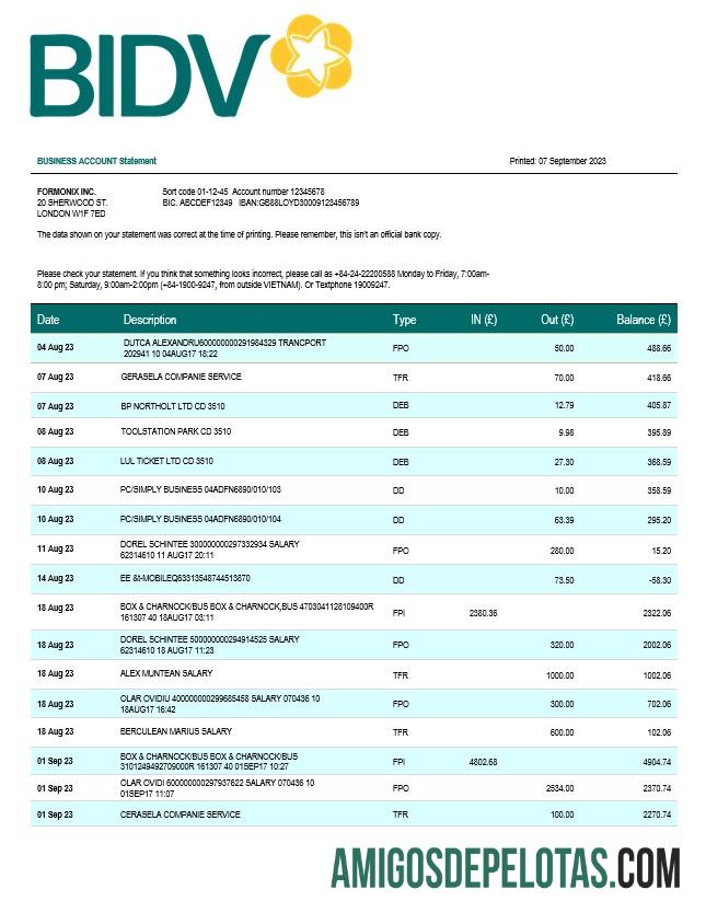 Em branco Banco para Investimento e Desenvolvimento do Vietnã (BIDV) Declaração de negócios modelo Word e PDF